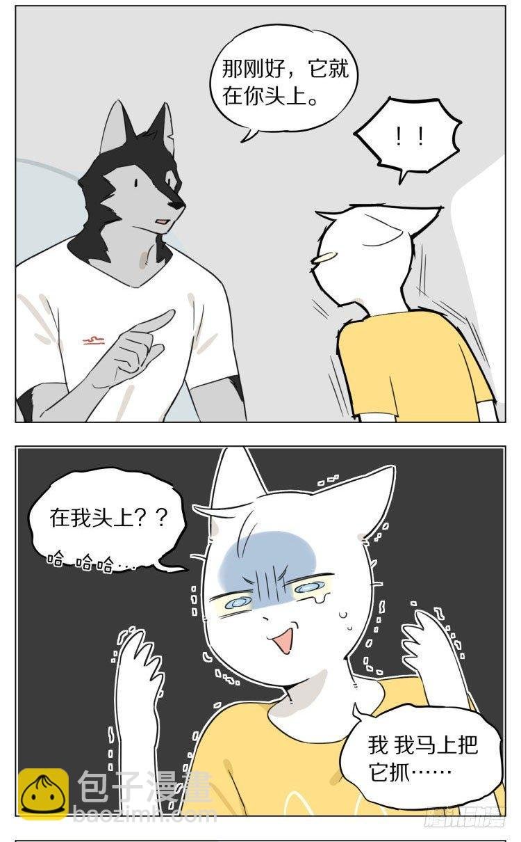 露营2