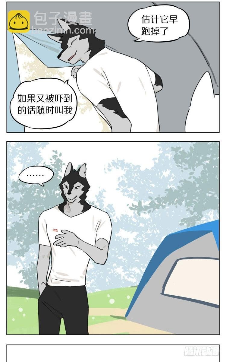 露营2