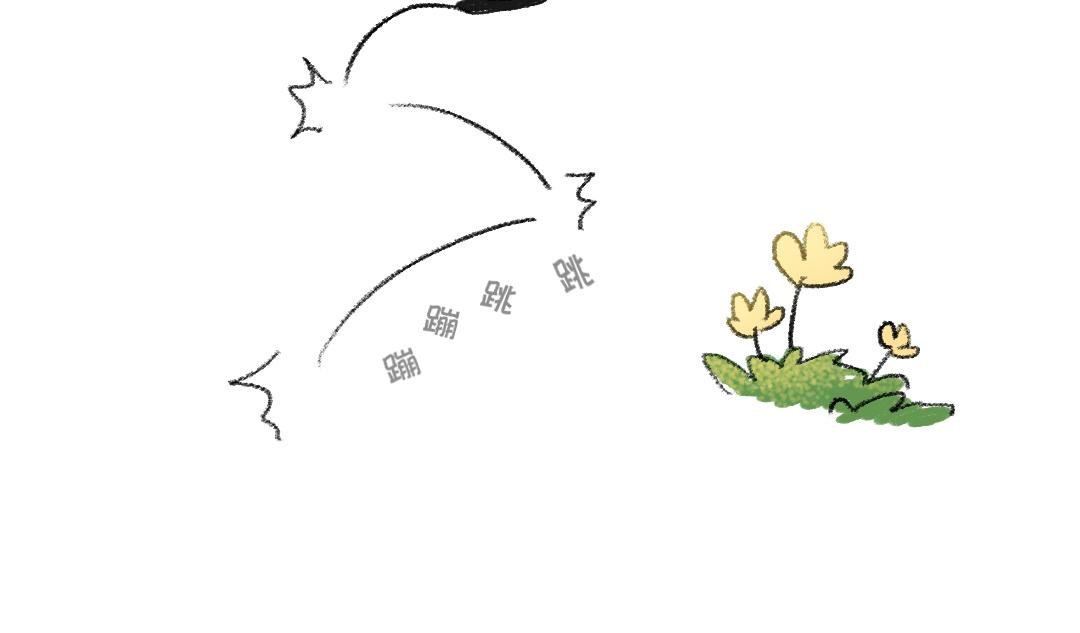 平凡的第40天——天黑前回家