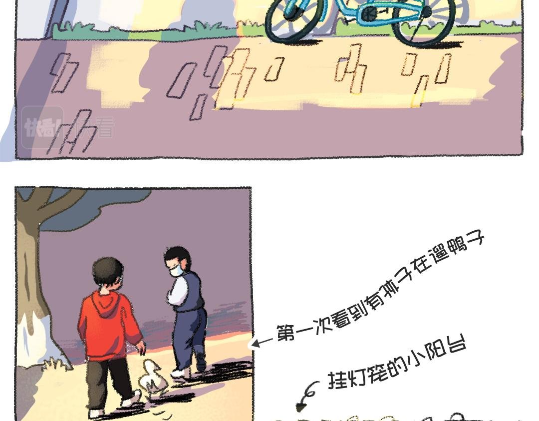 平凡的第40天——天黑前回家