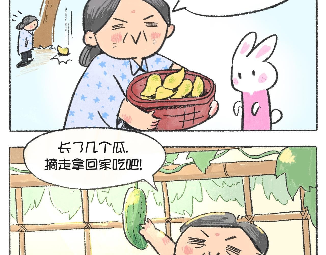 第54天—荔枝与外婆