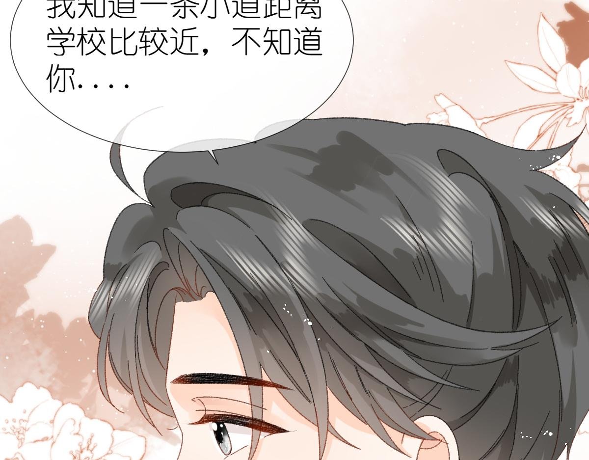 第11话 林间小道