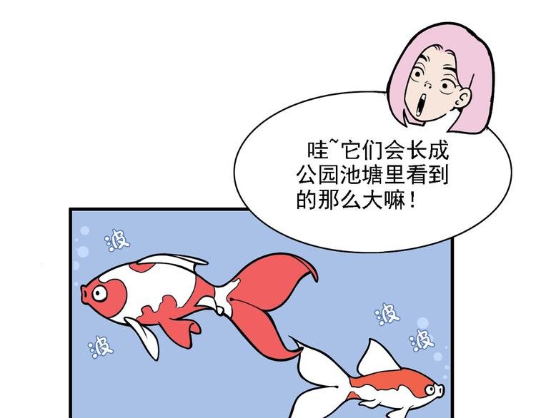 第2碗 锦鲤