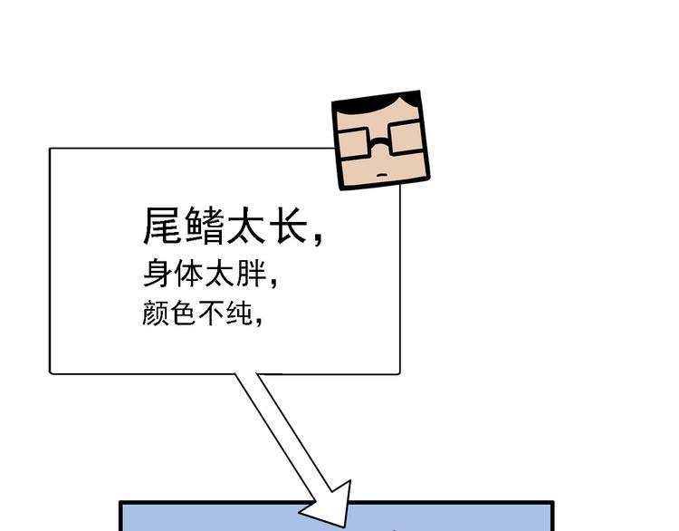 第2碗 锦鲤