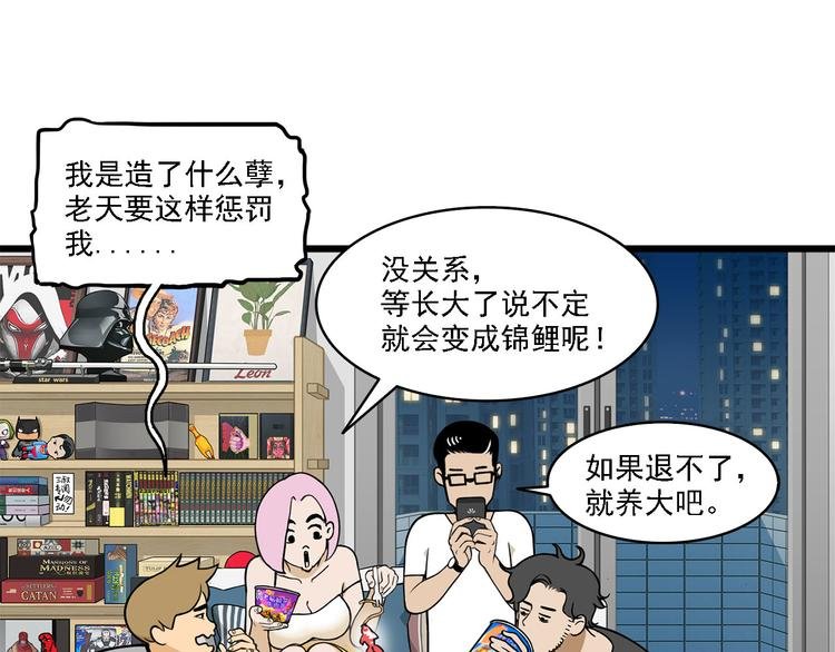 第2碗 锦鲤