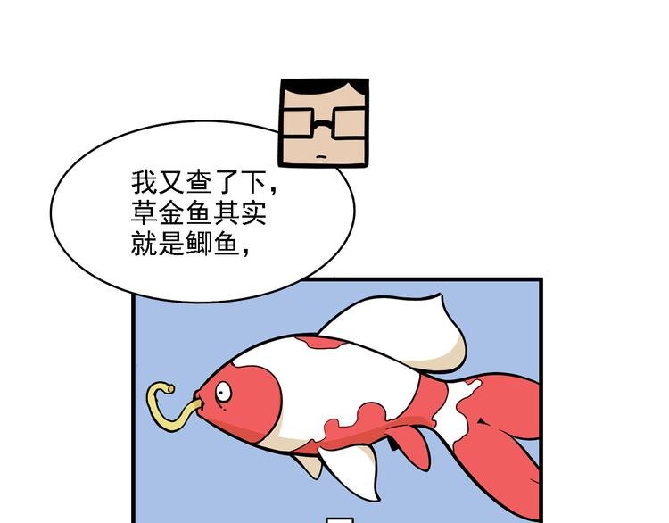 第2碗 锦鲤