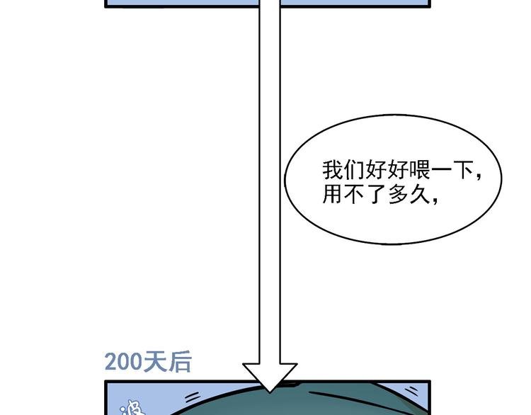 第2碗 锦鲤