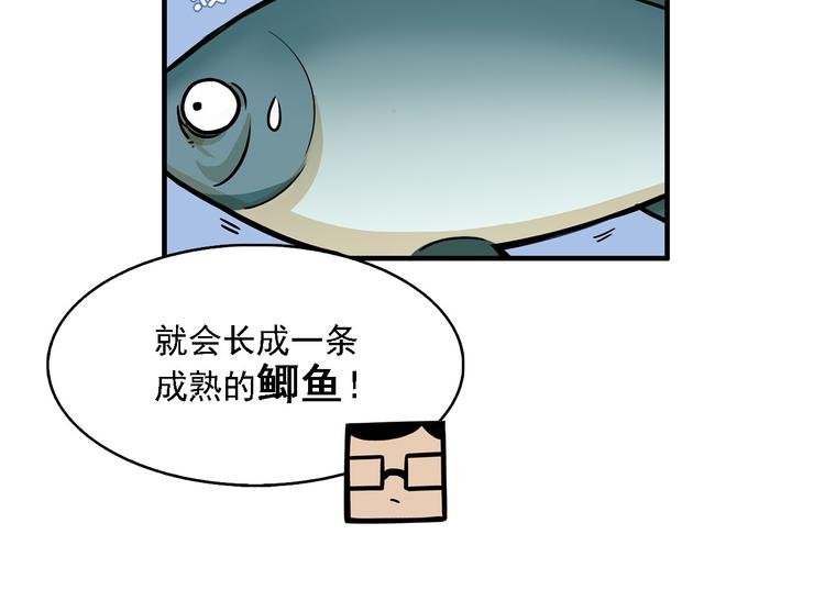 第2碗 锦鲤