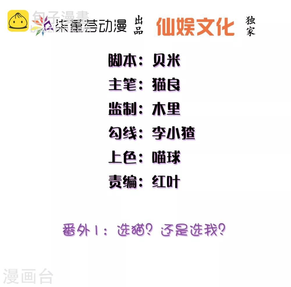 番外1 选猫？还是选我？