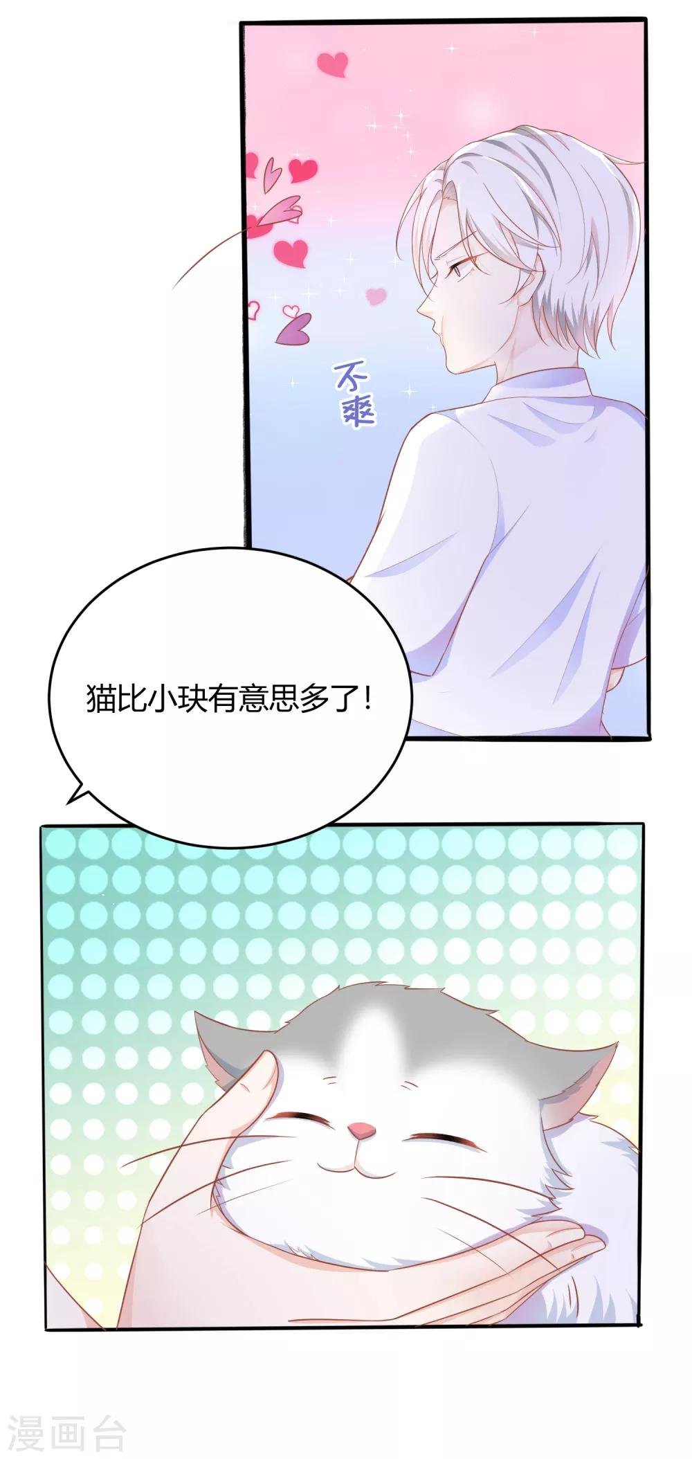 番外1 选猫？还是选我？