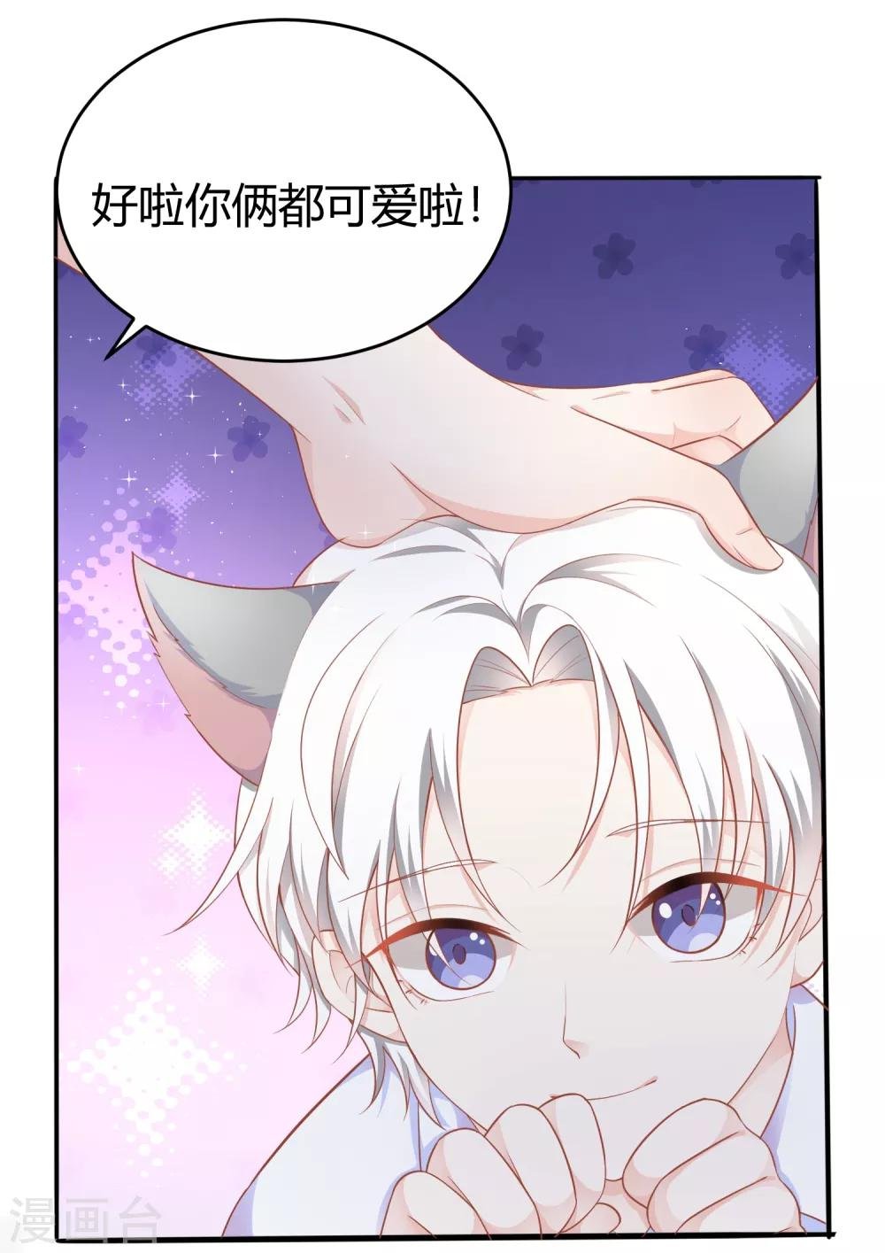 番外1 选猫？还是选我？
