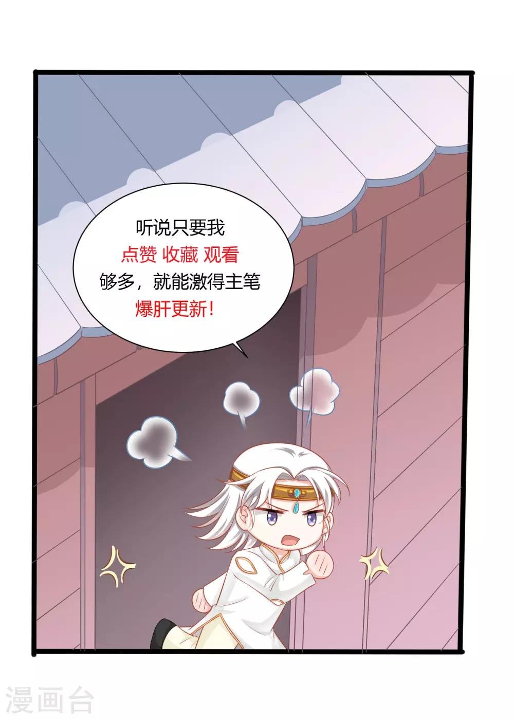 番外1 选猫？还是选我？