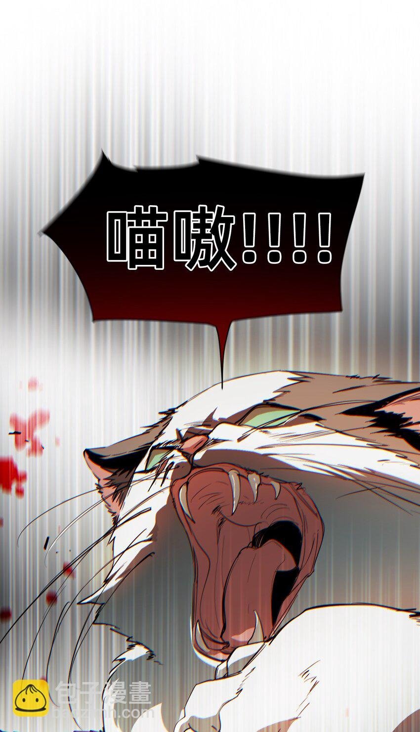 09 成为猫（下）