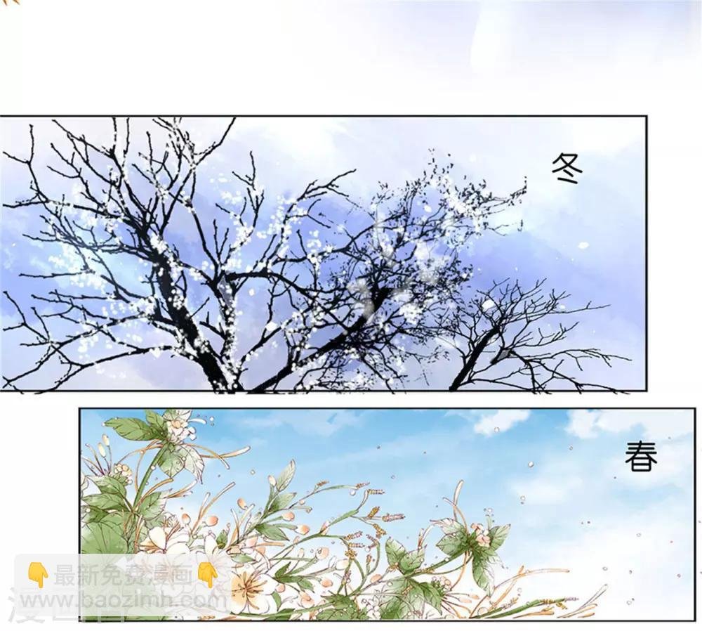 第230话 一年后