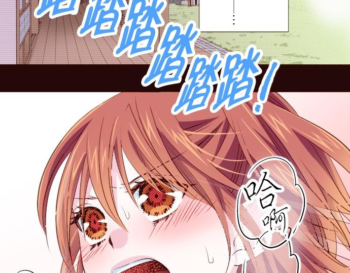 第十七话