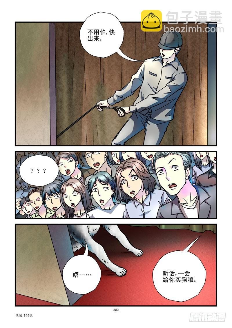144,汪星人