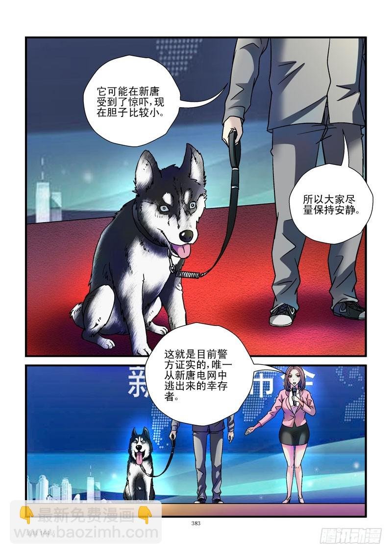 144,汪星人