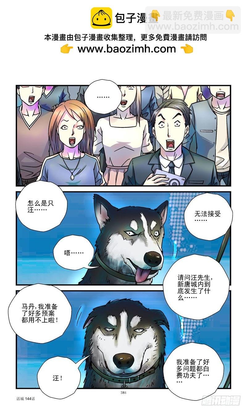 144,汪星人