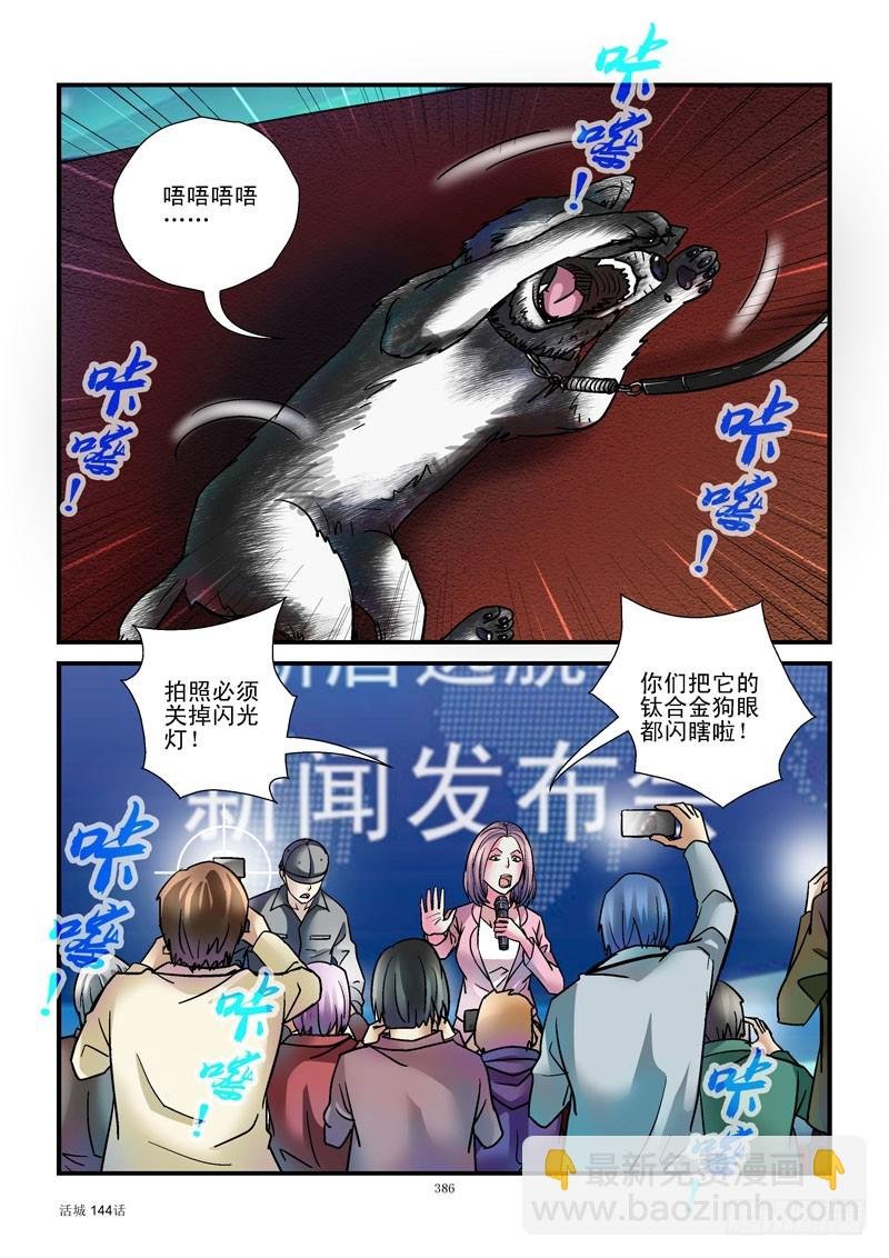 144,汪星人