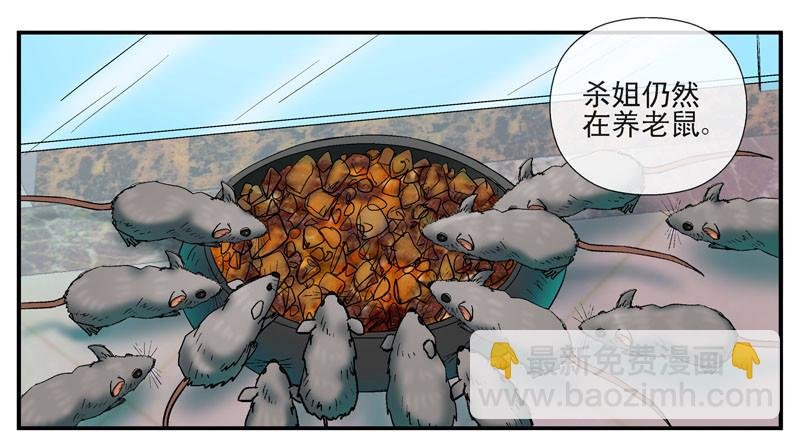 动乱世界与平静杀城组