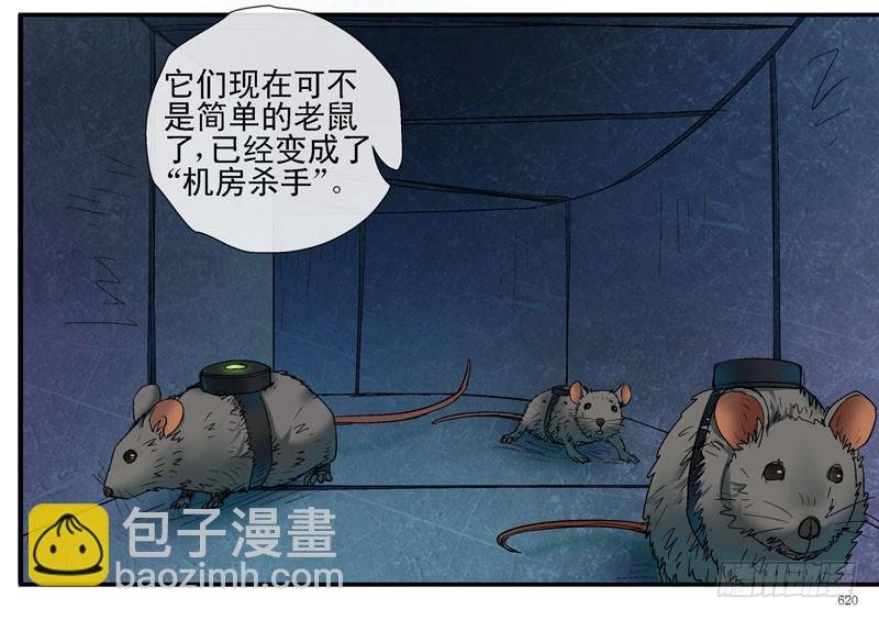 杀姐之杀脑计划