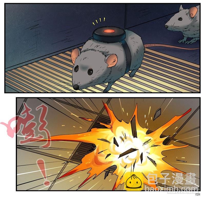 杀姐之杀脑计划