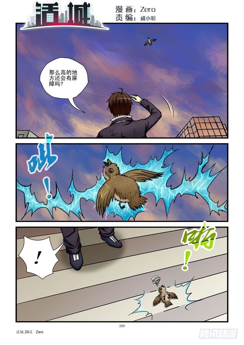 29，竞争王子