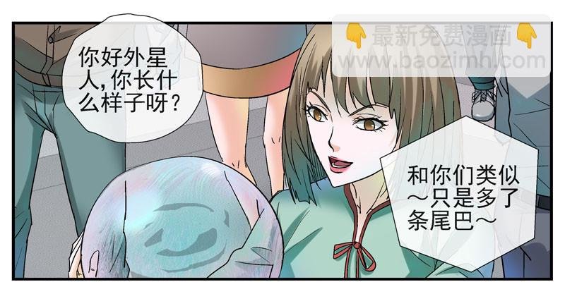5泡泡