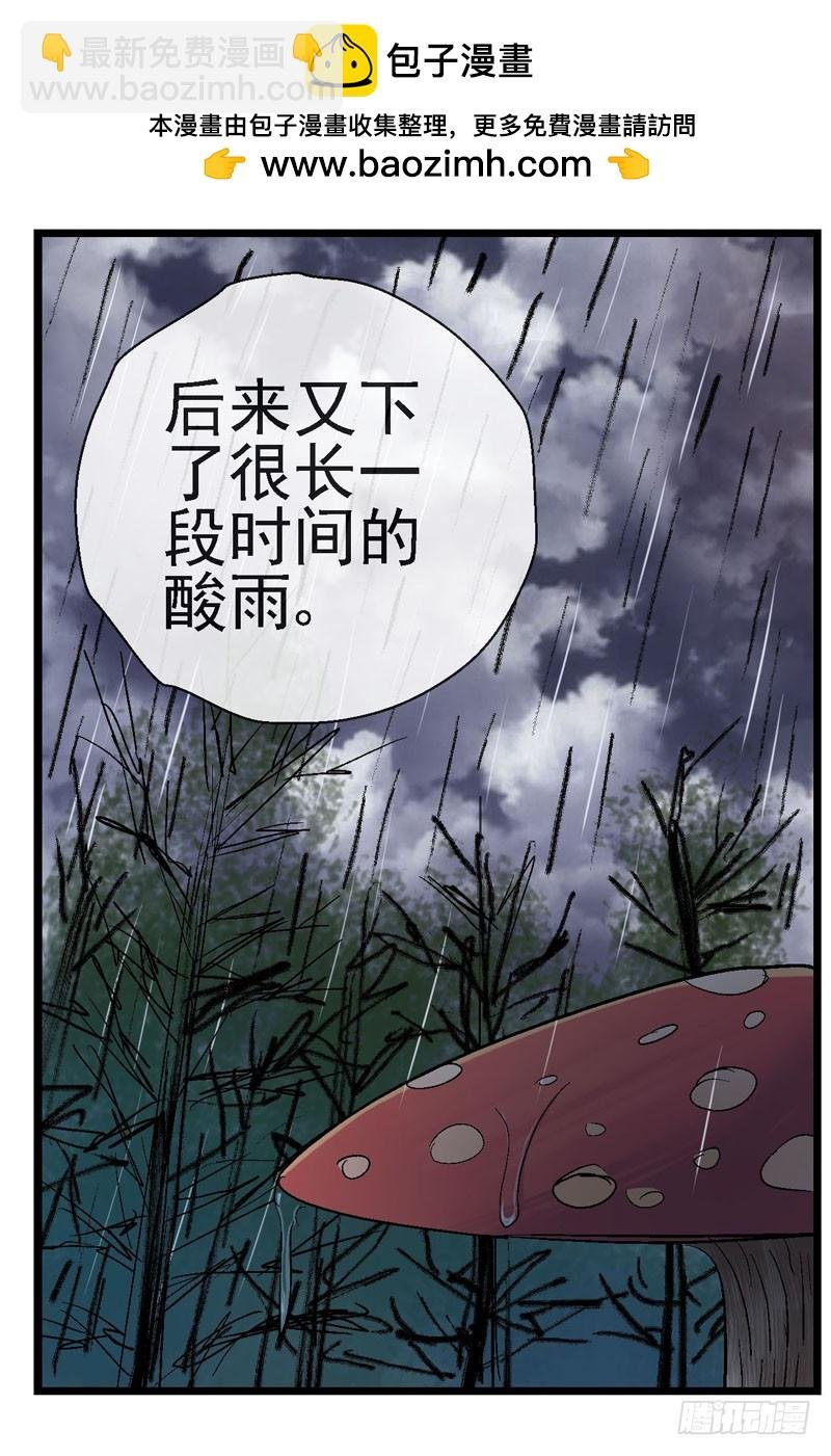 13，记忆在流浪