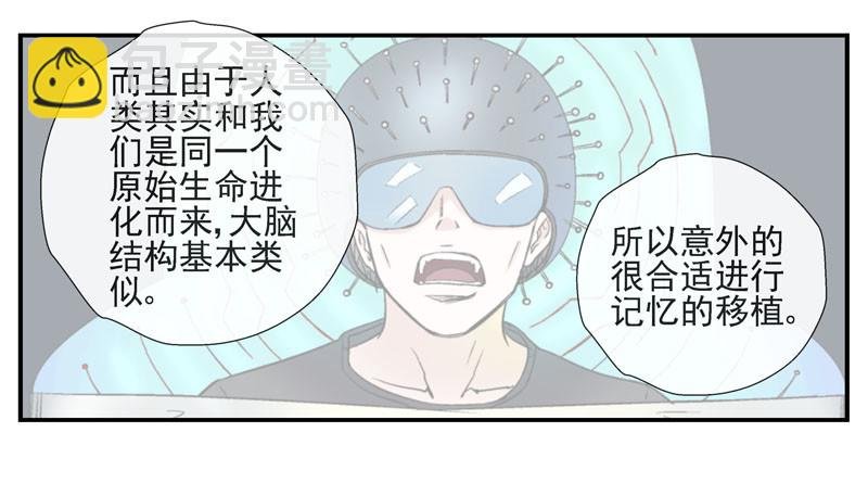 13，记忆在流浪