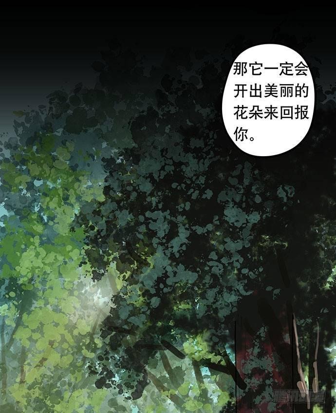 花-1