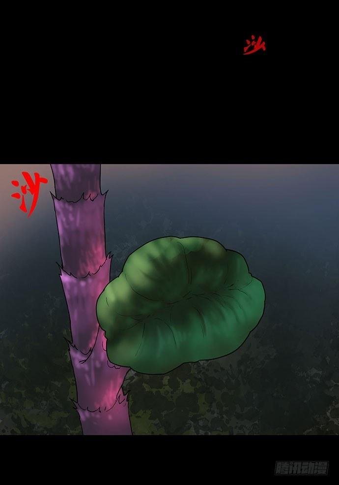 花-2