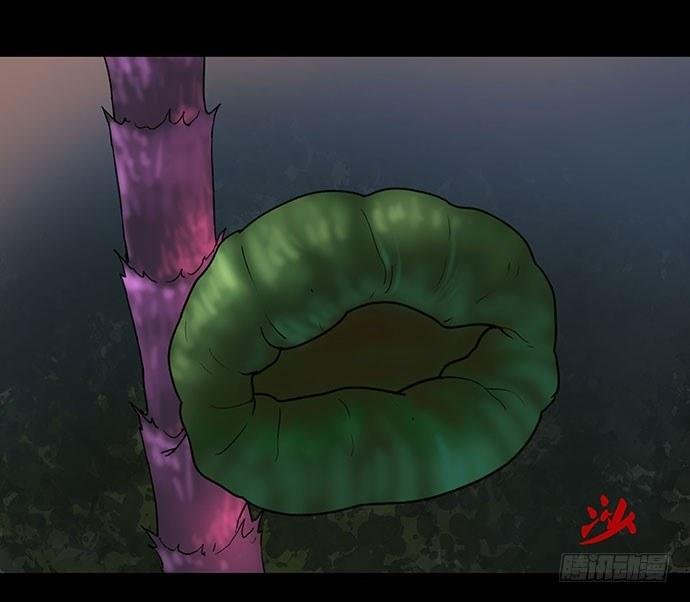 花-2