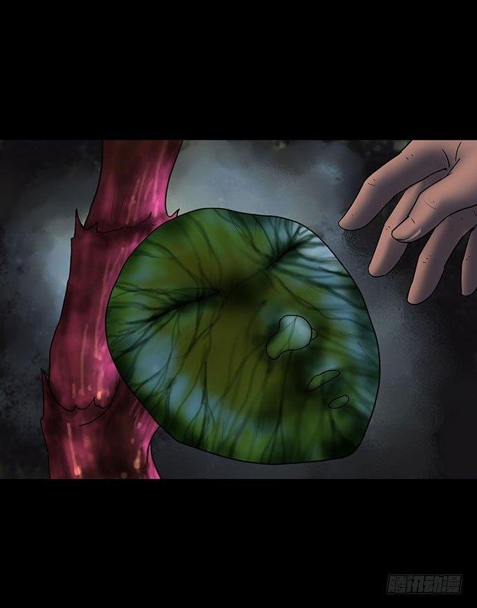 花-2