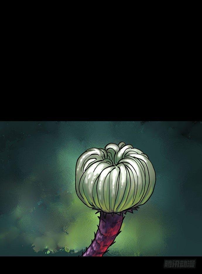 花-3