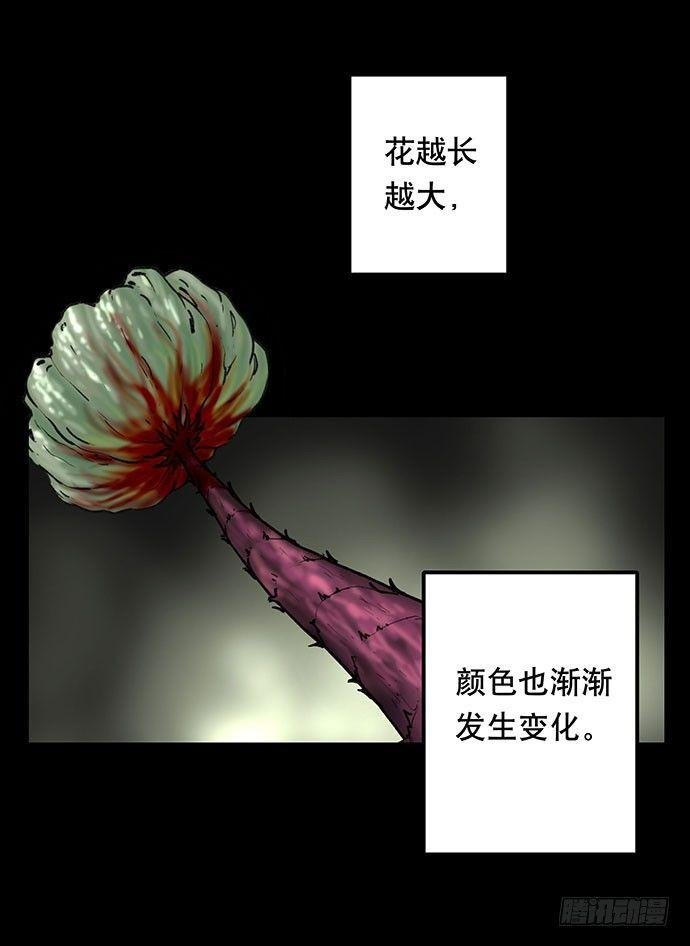 花-3