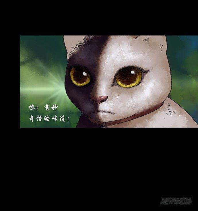 奶昔-上
