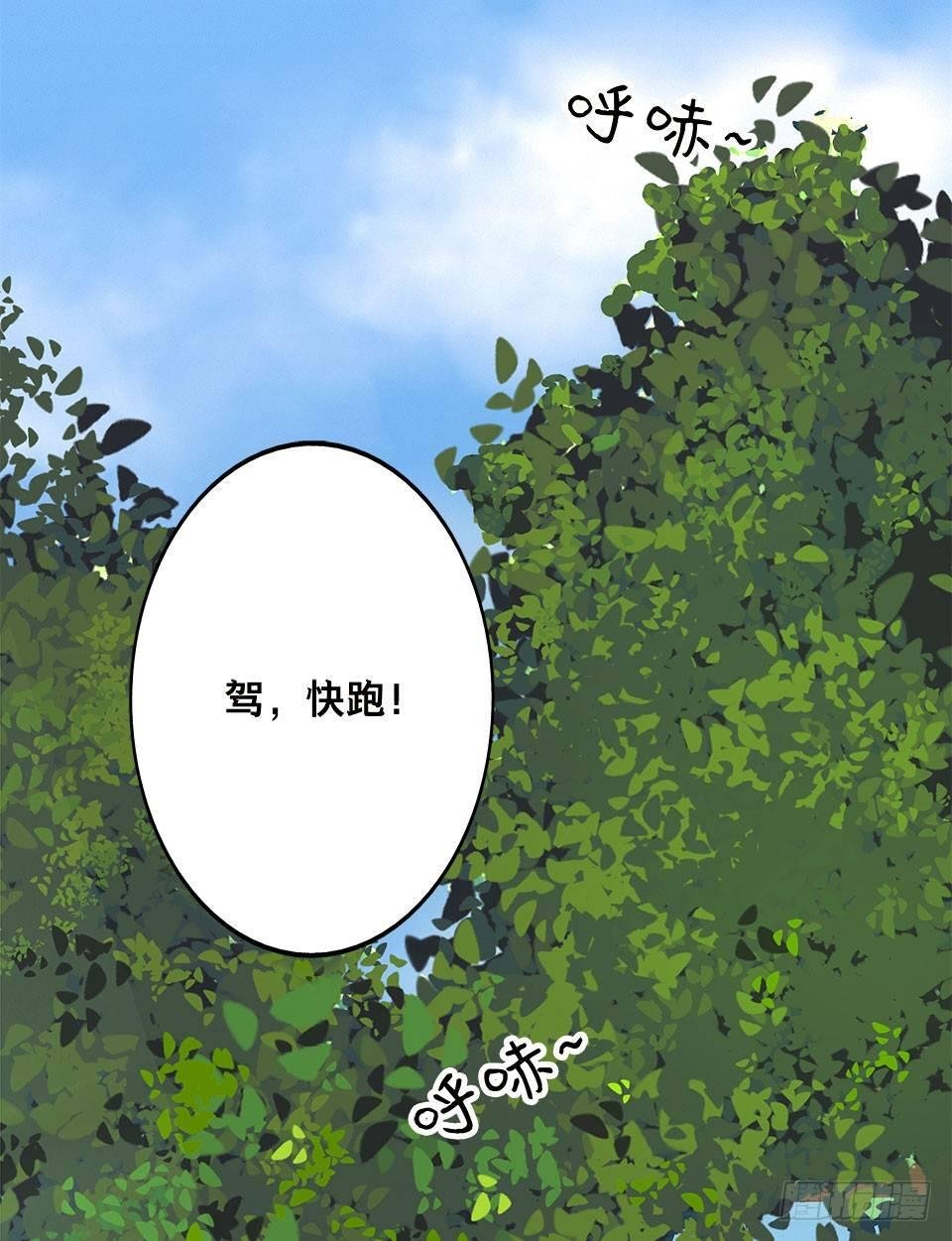 龟-上