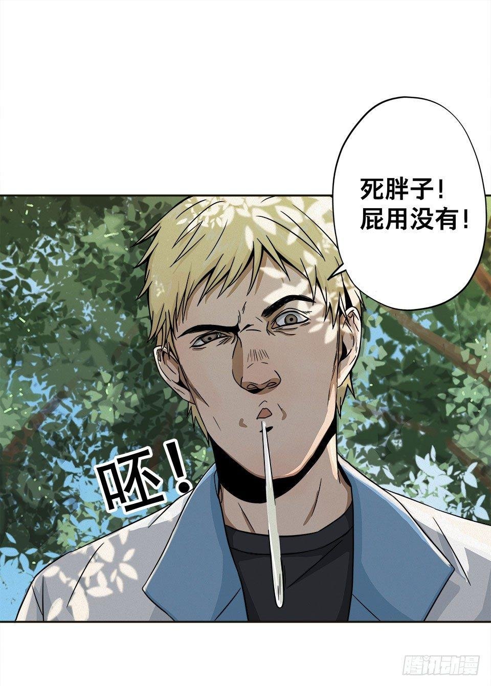 龟-上