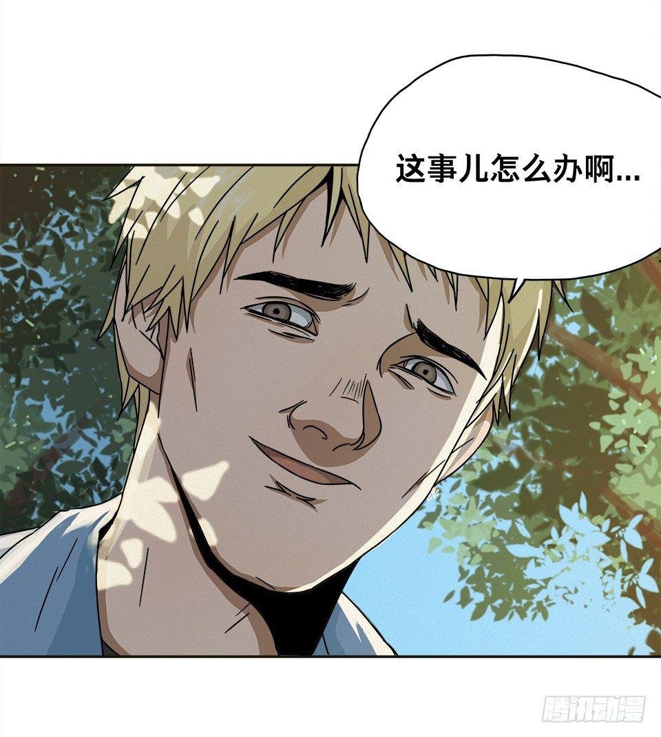 龟-上