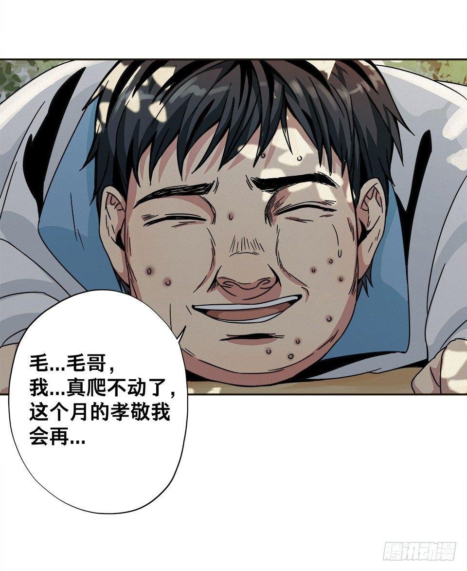 龟-上