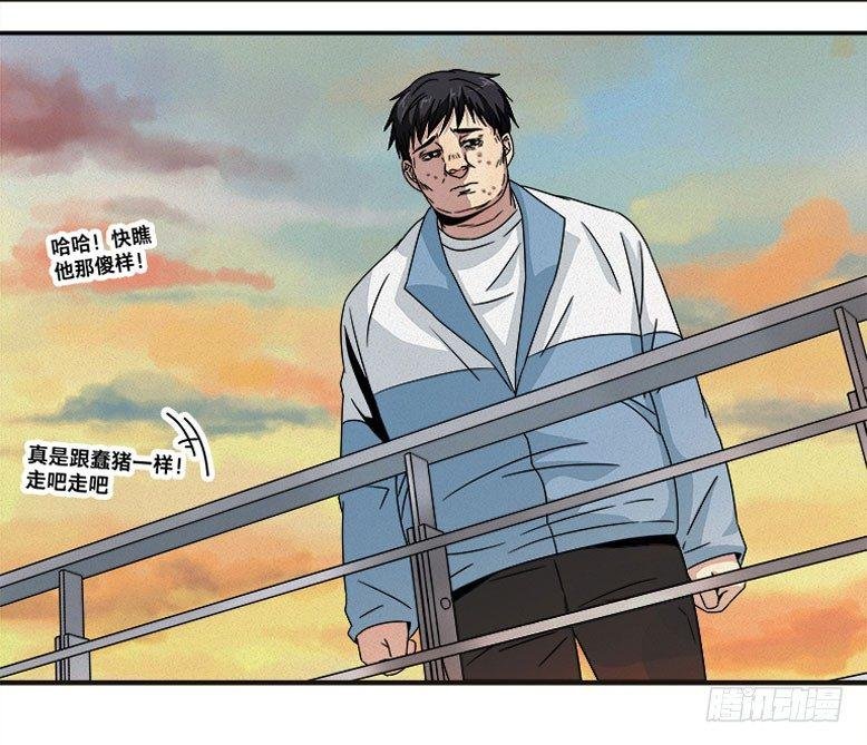 龟-上