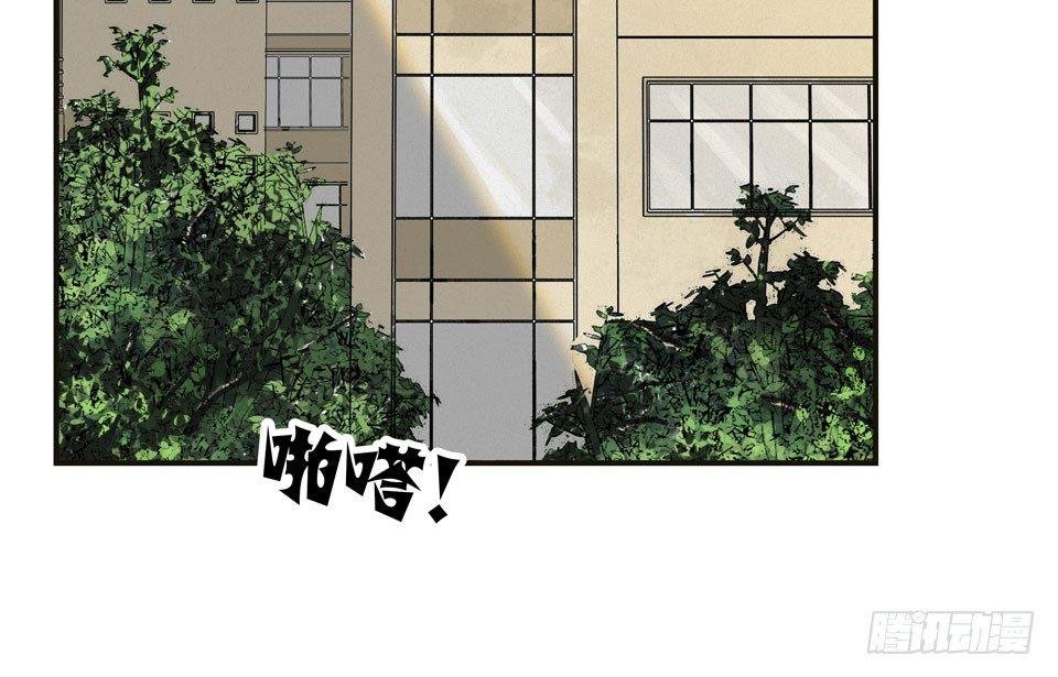 龟-中