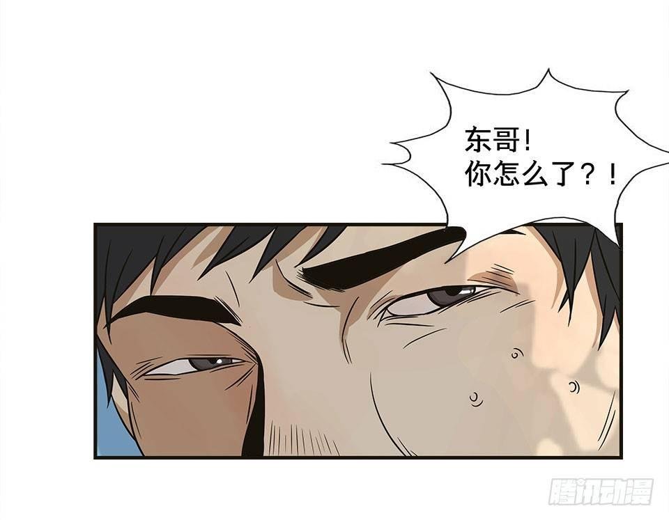 龟-中
