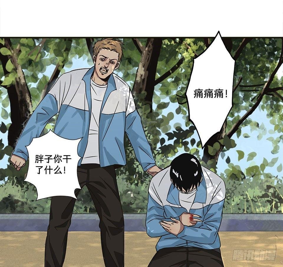 龟-中