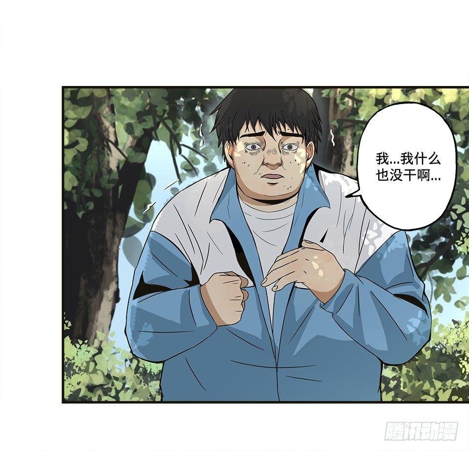 龟-中