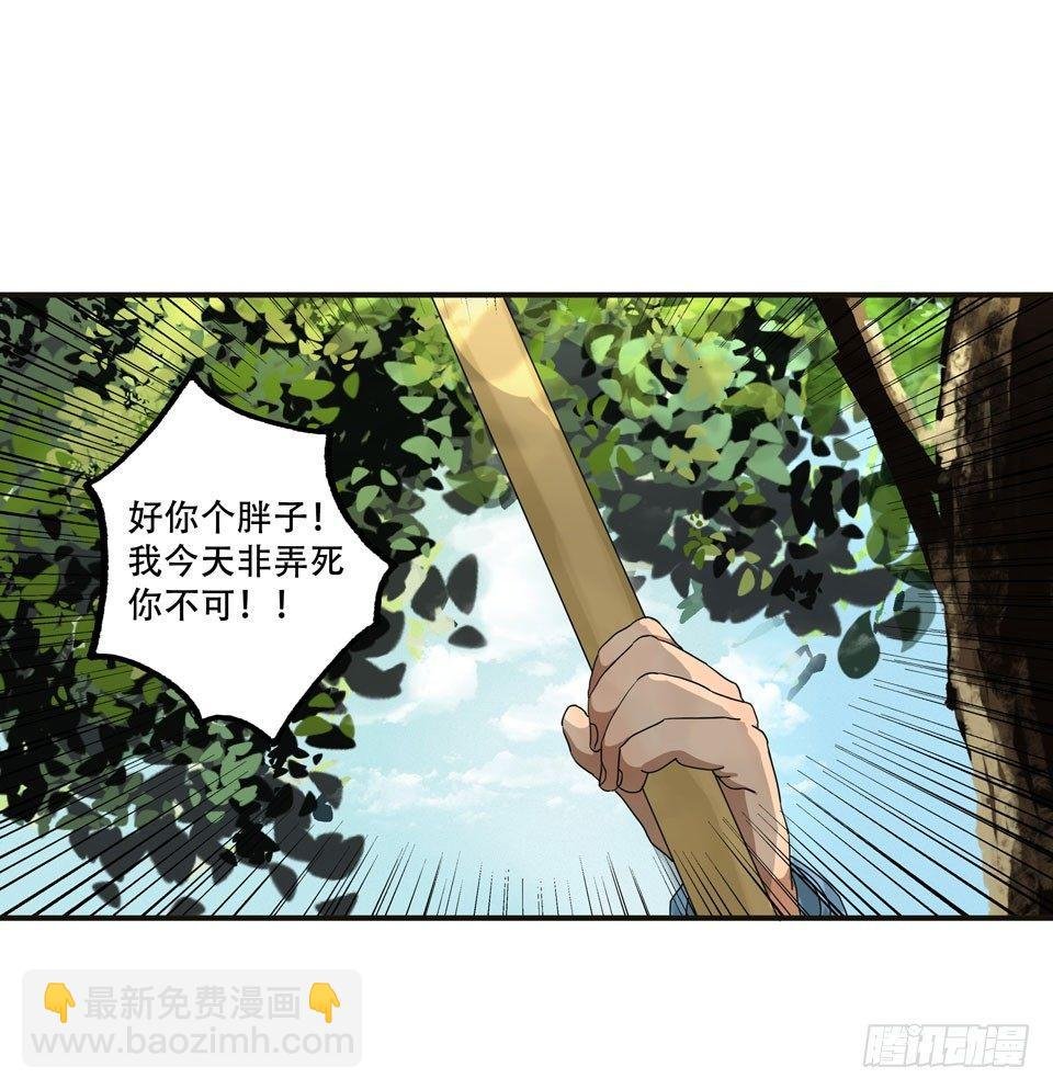 龟-中