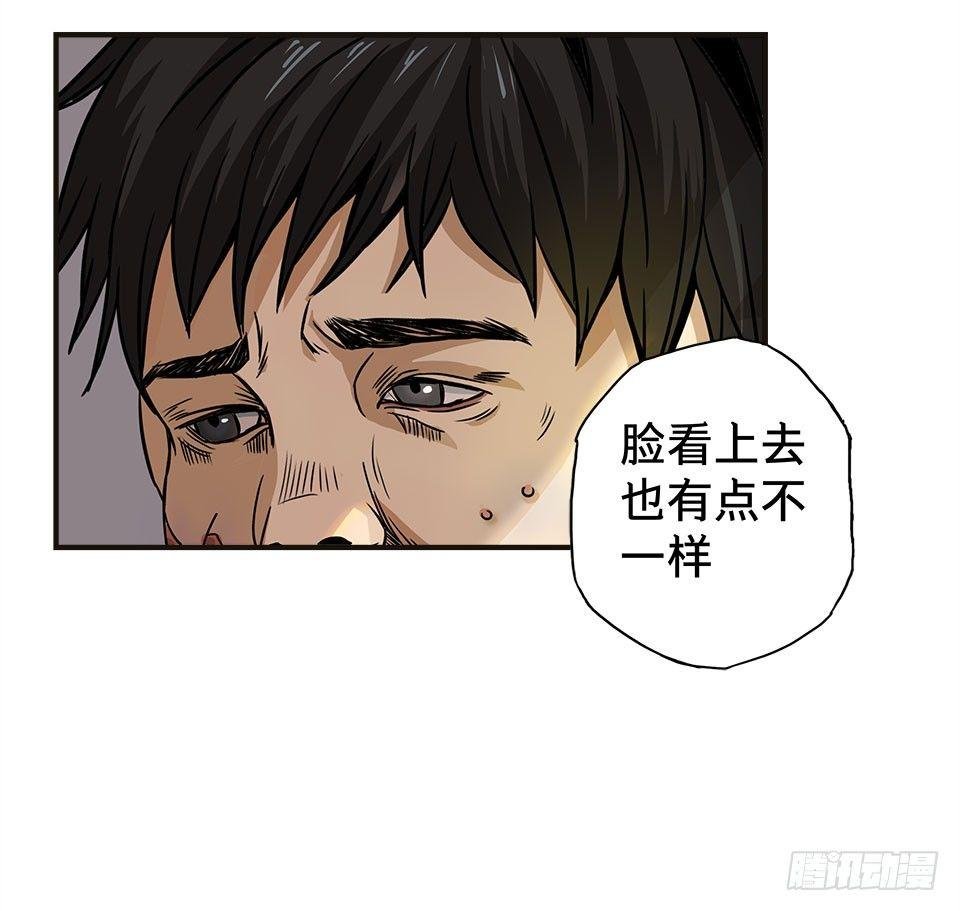 龟-下