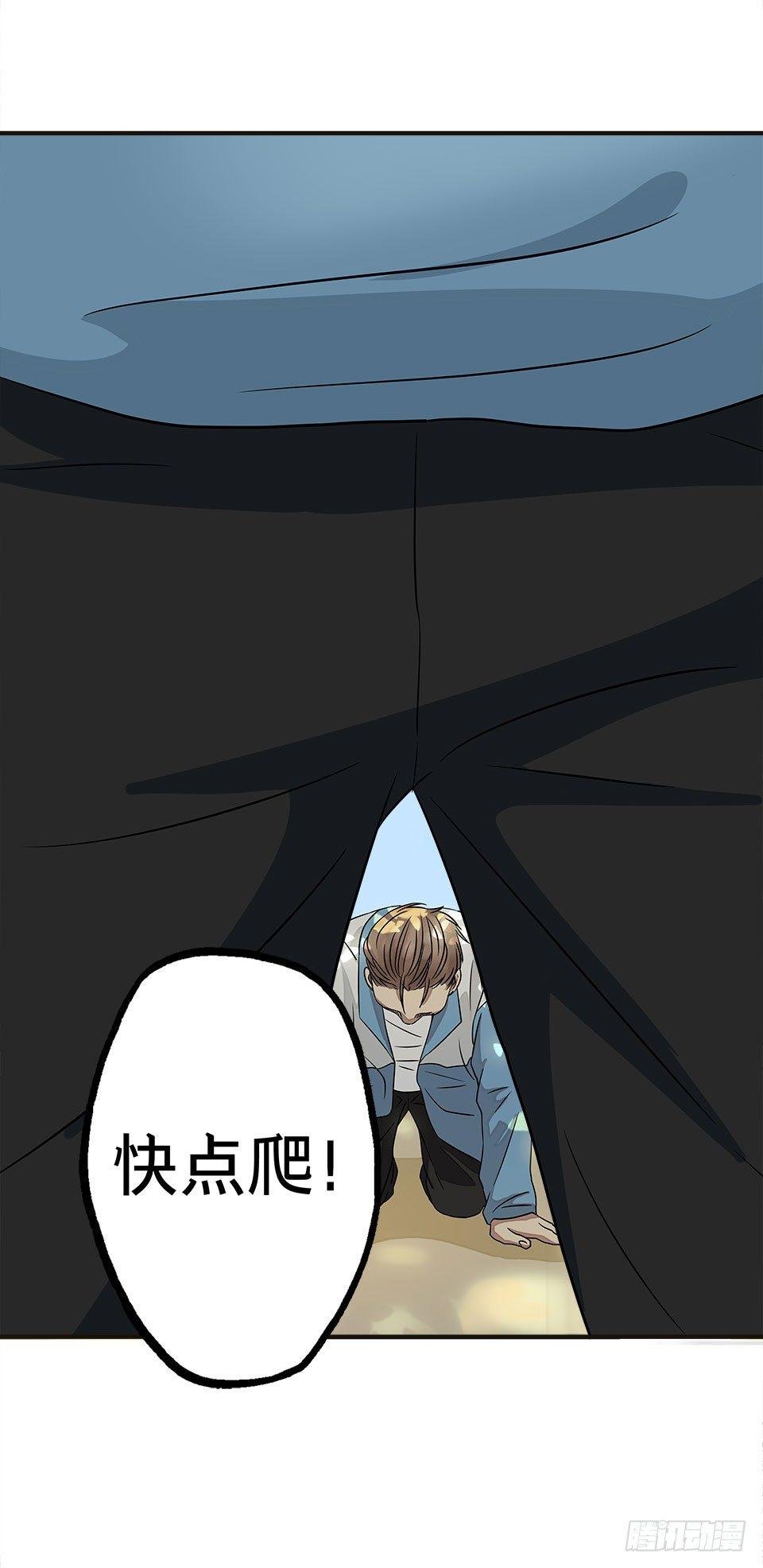 龟-下