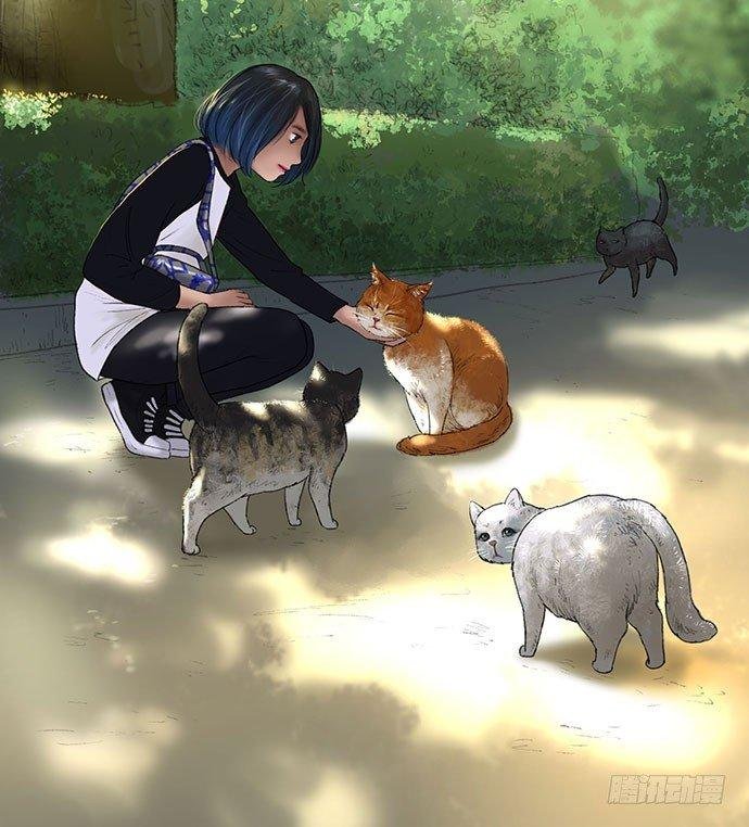 猫-1